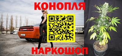 тгк Можга