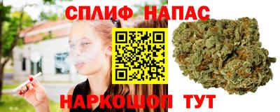 тгк Можга