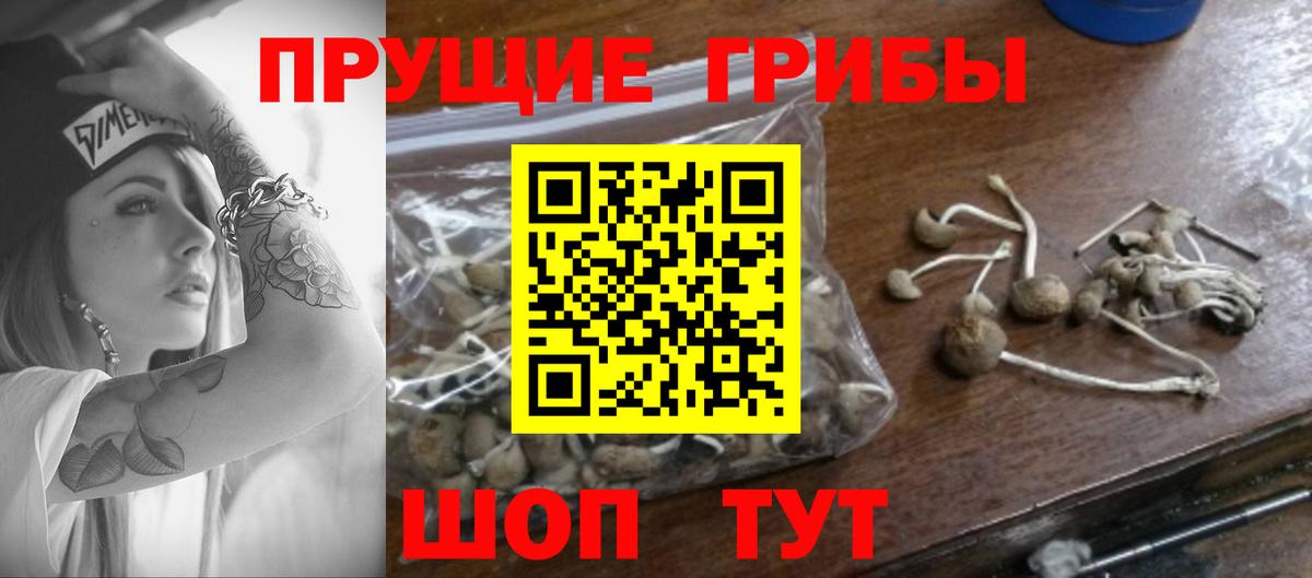 Галлюциногенные грибы Magic Shrooms Сосновый Бор